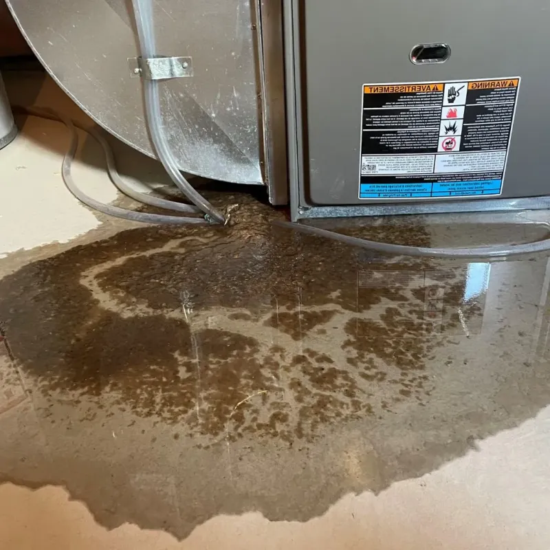 Pipe Burst and Leak Restoration in Wheeler County, NE