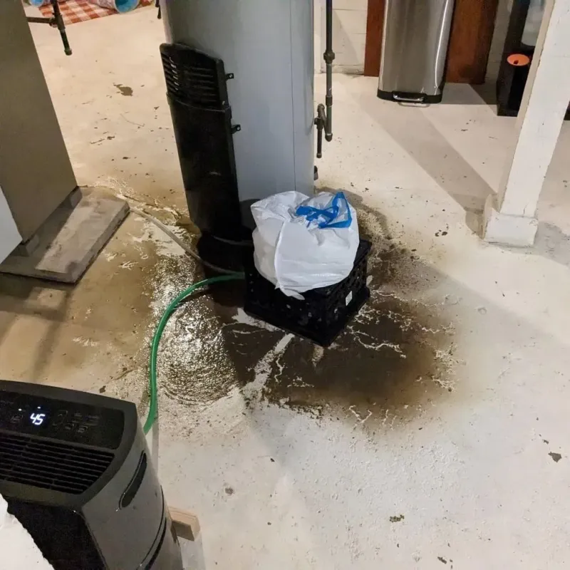 Sewage Backup Cleanup Service in Wheeler County, NE